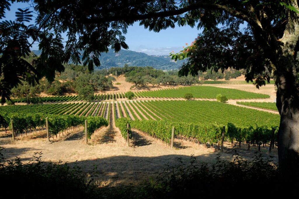 Napa Valley, California